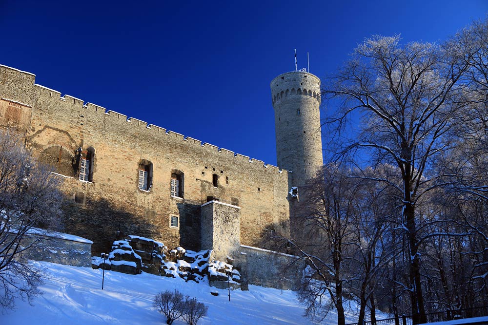 Башня Длинный Герман, Замок Тоомпеа, Таллин, Эстония, Европа