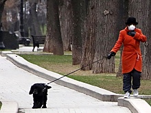 В профсоюзе полицейских назвали фейком информацию о сотрудничестве дворников с участковыми