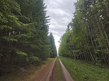 В Подмосковье благоустроят около 20 скверов в 2023 году