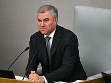 Володин заявил о деградации правовой системы США