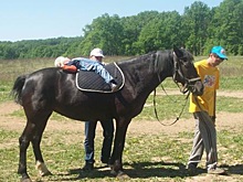 Родители детей-инвалидов во Владимирской области выиграли грант на иппотерапию