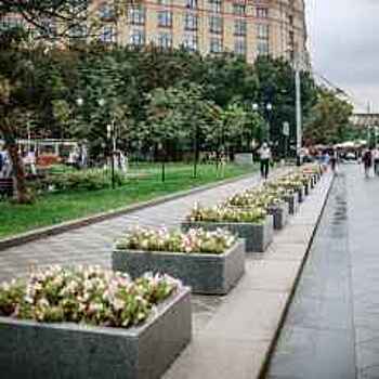 Сильные дожди с грозой в Москве продлятся до вечера пятницы