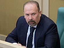 Совфед разрешил задержать Михаила Меня - его заподозрили в хищении 700 млн руб
