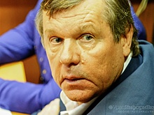 Земли Новикова рядом с Большим Седельниково спешно продают