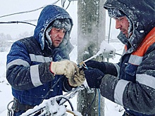 В ЛНР увеличат помощь пострадавшим от агрессии ВСУ хозяйствам