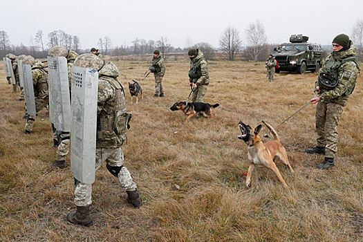 Украинские пограничники присоединились к эстонским коллегам в работе на границе с Россией
