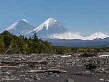 В Томске будут искать нефть с помощью ядерного реактора