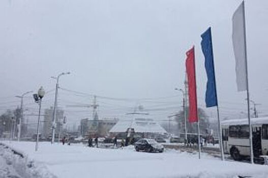 Первый снег в Воронеже спровоцировал огромные пробки и повалил деревья