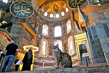Вход в мечеть Айя-София с Стамбуле станет платным для иностранцев