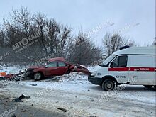 Под Курском в ДТП “на встречке” погиб 37-летний водитель