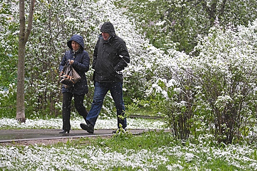 Вильфанд: Снег остался на 35% территории РФ
