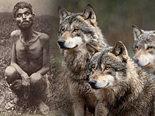 Находка в пещере: почему дети-маугли не становятся людьми