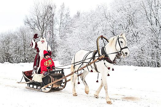 Дед Мороз переедет в новый дворец за 350 млн рублей