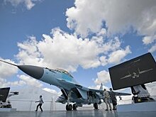 Смертельно опасен: в США сравнили Су-35 со своими истребителями