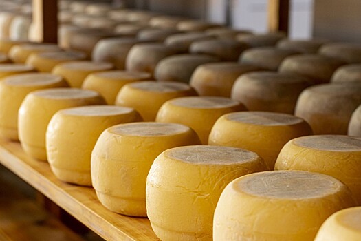 Французский сыр уничтожают в Приморье