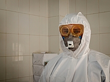 В Красноярском крае выявили 499 новых носителей коронавируса