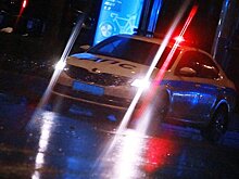 Под Москвой неизвестный до смерти забил собаку
