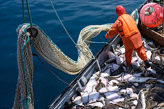 Россия завершила Большую африканскую экспедицию по оценке рыбных ресурсов