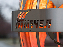 Феноменальный рост: почему акции «Мечела» взлетели на 65% за два дня?