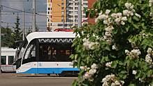Трамваи с 25 июня не будут курсировать по Таллинской улице по выходным и понедельникам