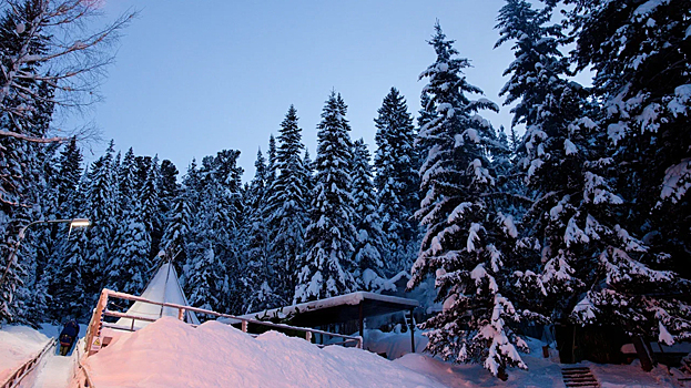 Турпоездки по Ямалу предложили организовывать для детей из семей военнослужащих. ВИДЕО