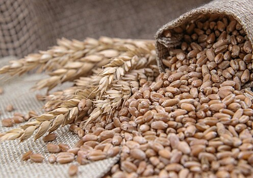 Россия придумала схему по продаже зерна: санкции будут не страшны