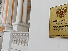 Минспорт России одобрил рекомендации ОКР по предвыборным программам кандидатов на пост главы ВФЛА