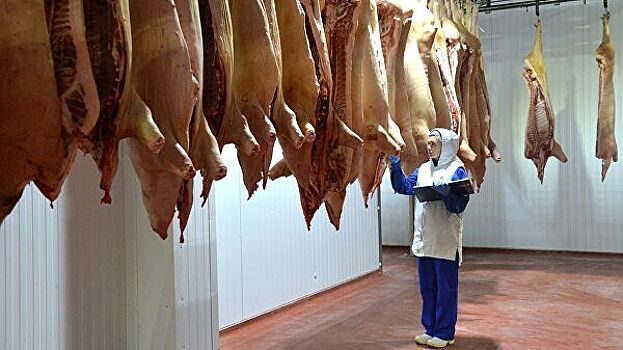 Белоруссия ограничила ввоз свинины из Самарской области из-за АЧС