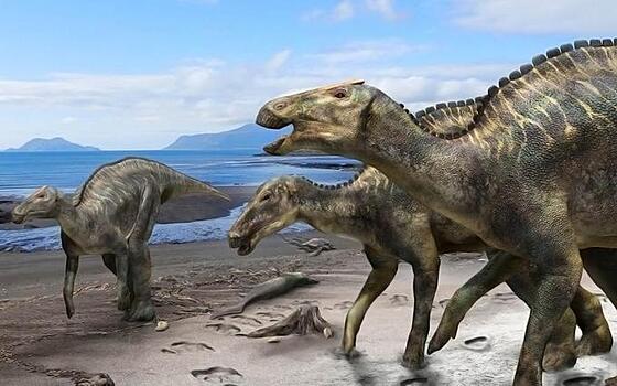 Ученые нашли новый вид гадрозавров