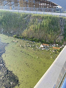 Челябинск в шоке от состояния Миасса, минэкологии обещает скорую очистку реки