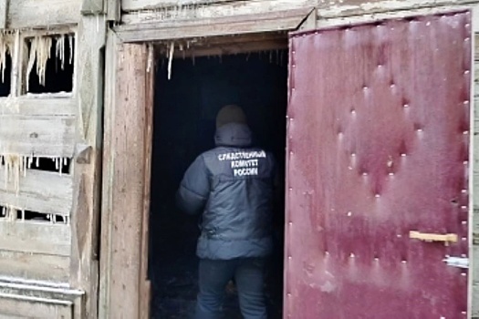 Смерть двоих человек при пожаре под Тверью оказалась убийством
