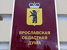 Ярославский депутат облдумы лишится мандата из-за приговора суда