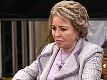 Матвиенко: Совфед призвал европейских парламентариев осудить антиисламские акции