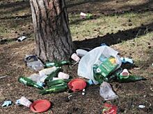 Мусорные чащи. Кто захламляет леса Перми и края?