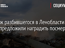 Экипаж разбившегося в Ленобласти Ми-8 предложили наградить посмертно