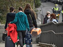 В Германии в 2024 году трудоустроили менее 1% украинских беженцев