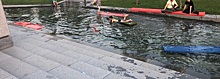 Краснодарцы устроили "заплыв" на лежаках в парке Галицкого