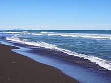 Ученые рассказали о последствии изменения климата