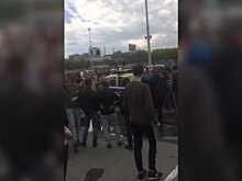 Подростки напали на полицейскую машину на фестивале красок