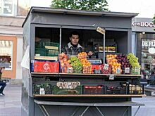 В России самозанятым разрешат ставить киоски на частных землях