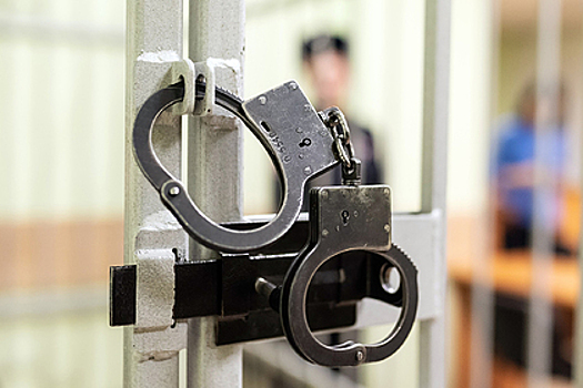 Россиянин почти год избивал пасынка деревянной битой