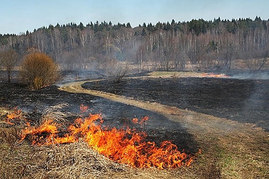 В минувшие выходные в Томской области снова тушили опалы