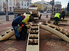 В Курске пройдут публичные слушания по изменениям Правил благоустройства