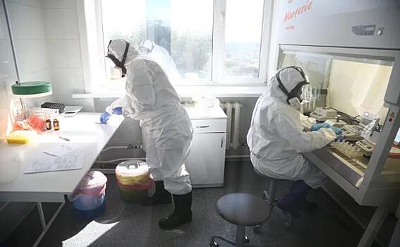 117 вылечили, 6 умерли – коронавирус 24 июля в Новосибирске