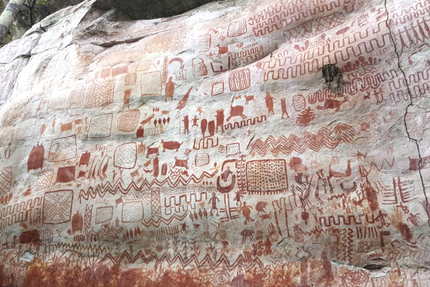 Ученые разгадали значение тысяч доисторических наскальных рисунков в Колумбии