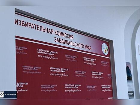 Наталья Кочергина и Вячеслав Пальшин сняли кандидатуры с губернаторских выборов