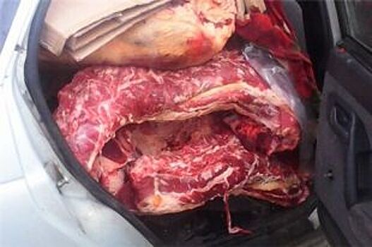 Перевозку 166 кг говядины без документов пресекли в Азове