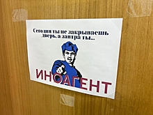 Движение «Зов народа» призвало признать Хаматову иностранным агентом