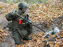 В Кремле выразили признательность саперам из КНДР