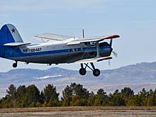 Самолет Ан-2 аварийно сел в российском регионе